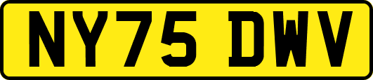 NY75DWV