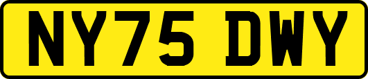 NY75DWY