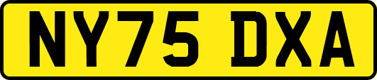 NY75DXA