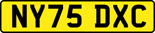 NY75DXC