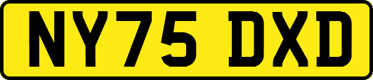 NY75DXD