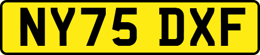 NY75DXF