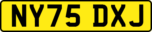 NY75DXJ