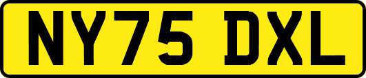 NY75DXL