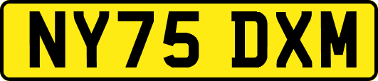 NY75DXM