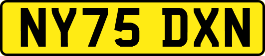 NY75DXN