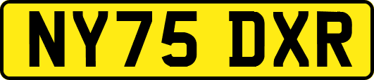 NY75DXR