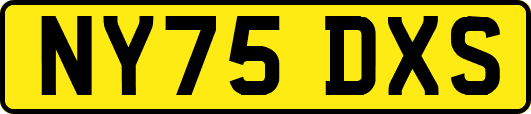 NY75DXS