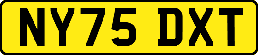 NY75DXT