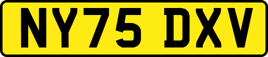 NY75DXV