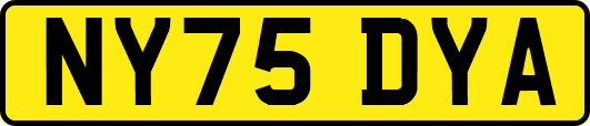 NY75DYA