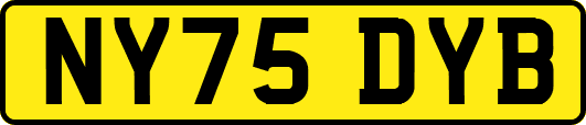 NY75DYB