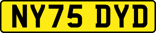 NY75DYD