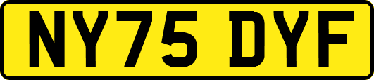 NY75DYF
