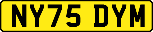 NY75DYM