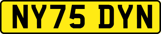 NY75DYN