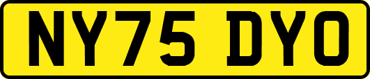 NY75DYO