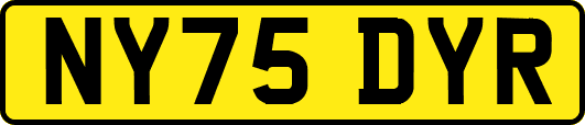 NY75DYR