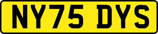 NY75DYS