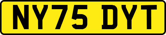 NY75DYT