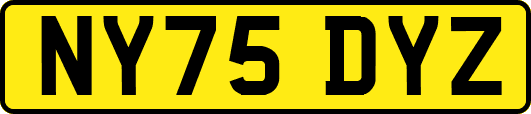 NY75DYZ