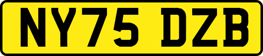 NY75DZB