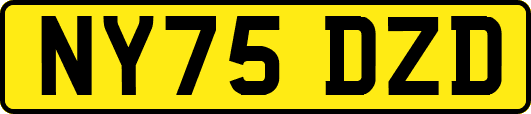 NY75DZD
