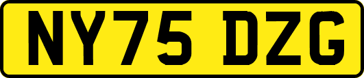 NY75DZG