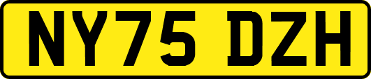 NY75DZH