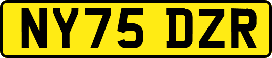 NY75DZR