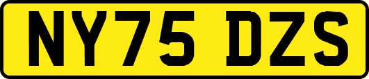 NY75DZS