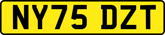 NY75DZT