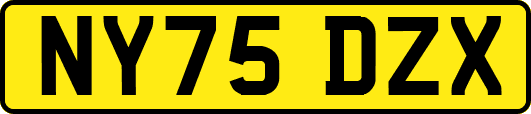 NY75DZX