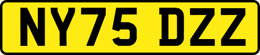 NY75DZZ