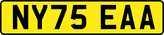 NY75EAA