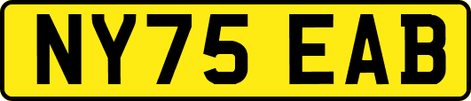NY75EAB
