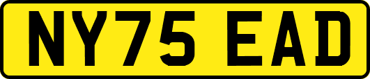 NY75EAD