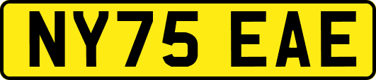 NY75EAE