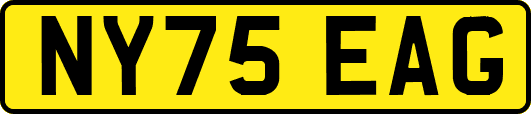 NY75EAG