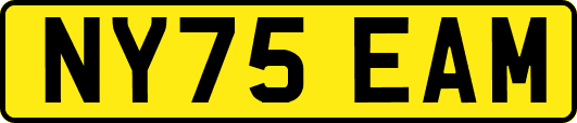 NY75EAM