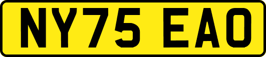 NY75EAO