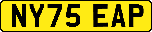 NY75EAP