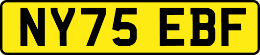 NY75EBF