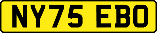 NY75EBO