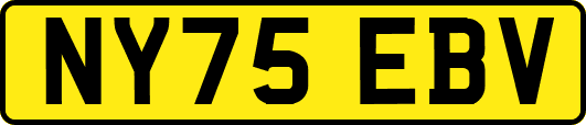 NY75EBV