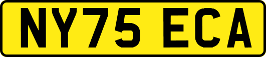 NY75ECA