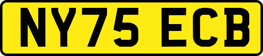 NY75ECB