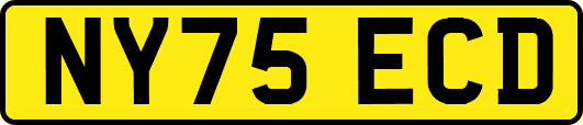NY75ECD