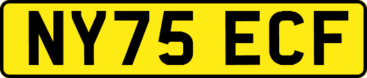 NY75ECF