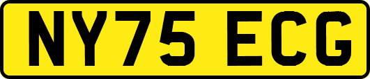 NY75ECG